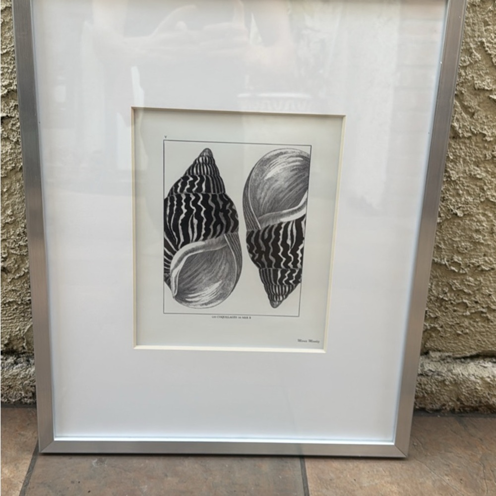 Framed Black and White Shell Art Print